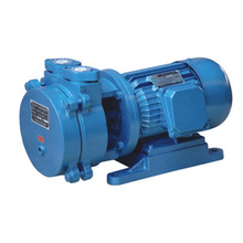 Liquid Water Ring Vacuum Pump (SK)